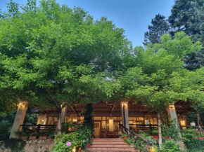 Guesthouse Alberti Llogara